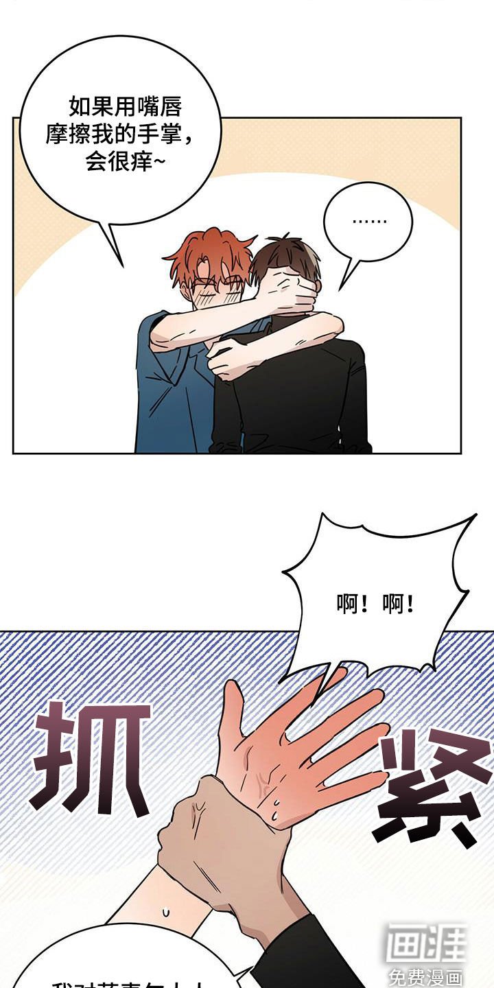 第36章：原则