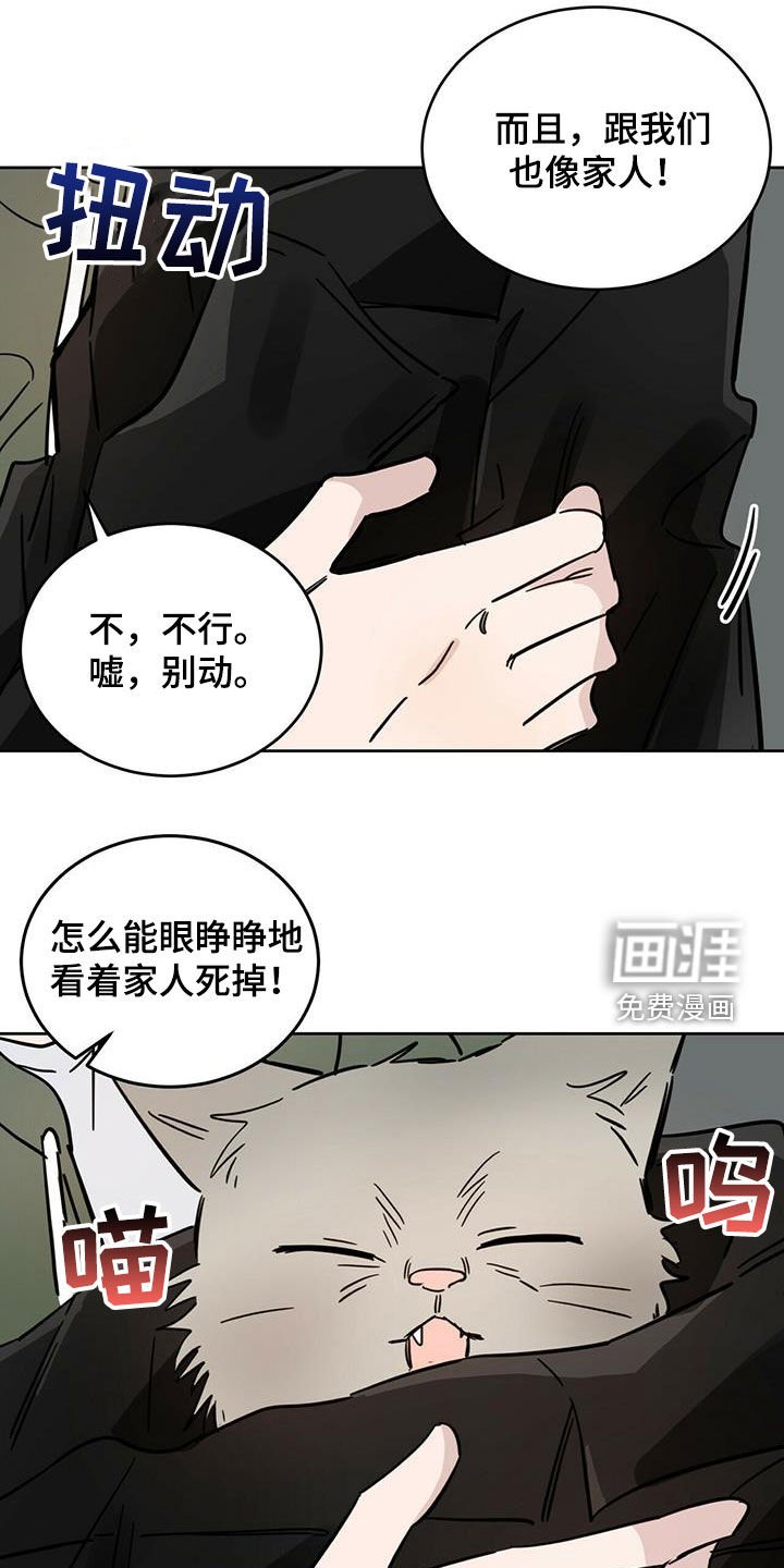 第36章：原则