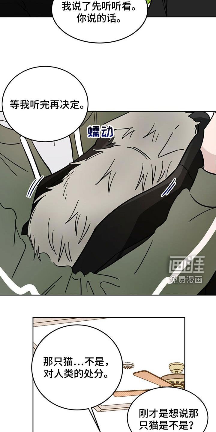 第36章：原则