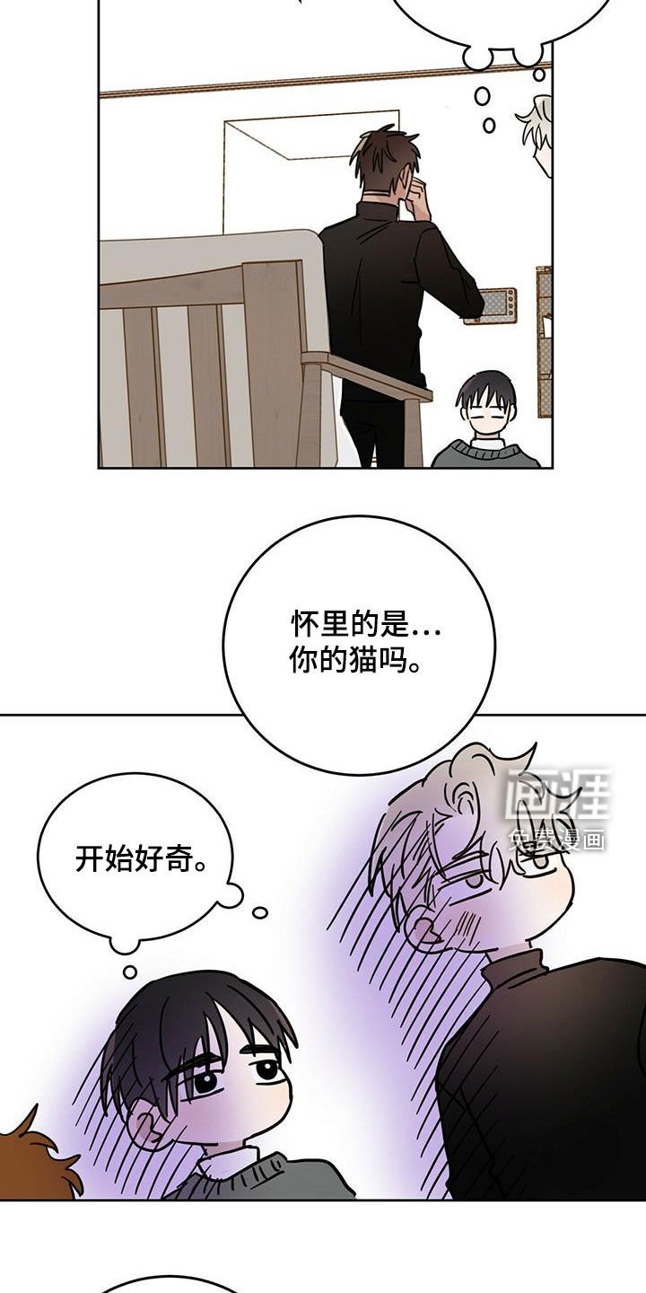 第36章：原则