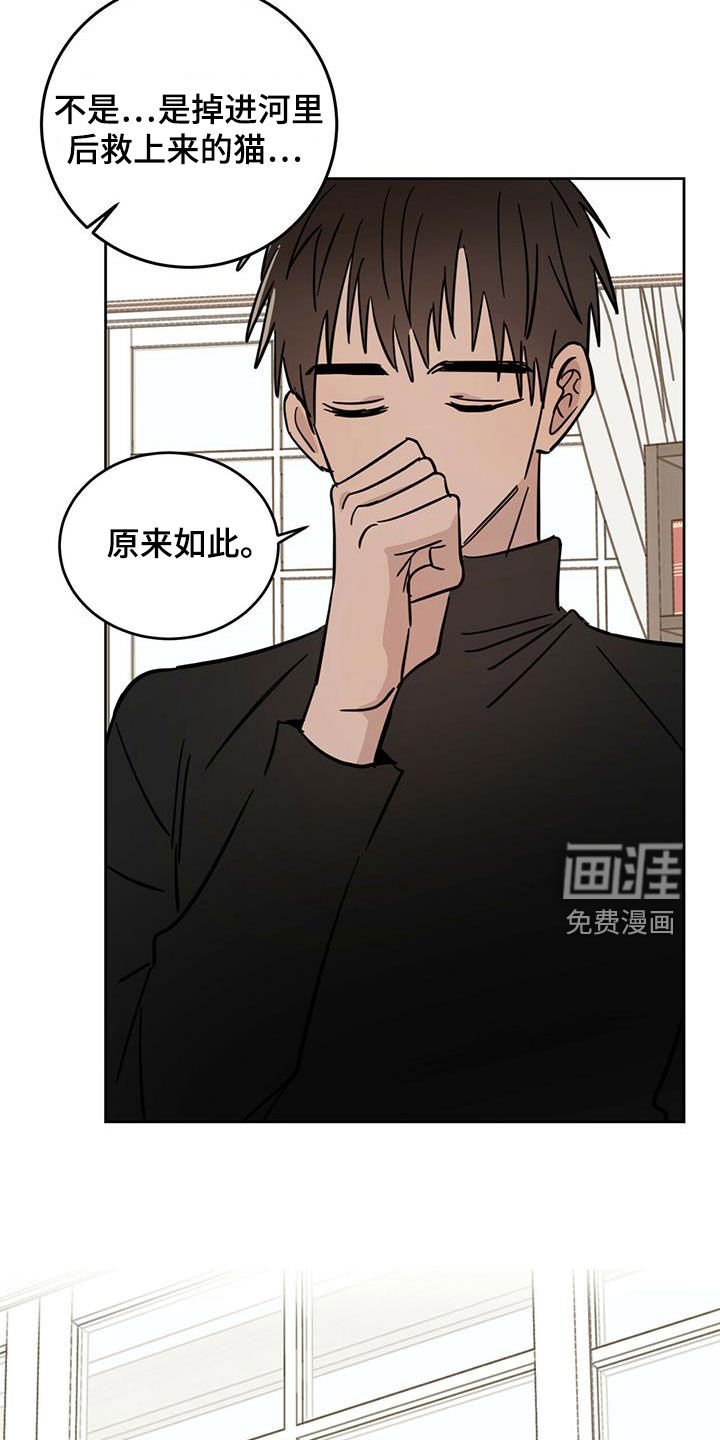 第36章：原则