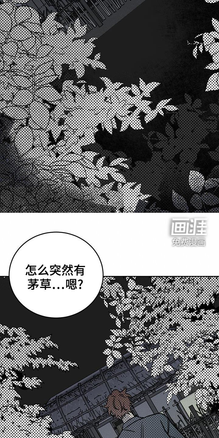 第46章：梦境