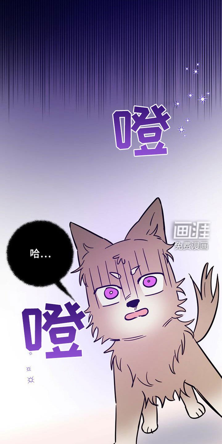 第49章：成佛