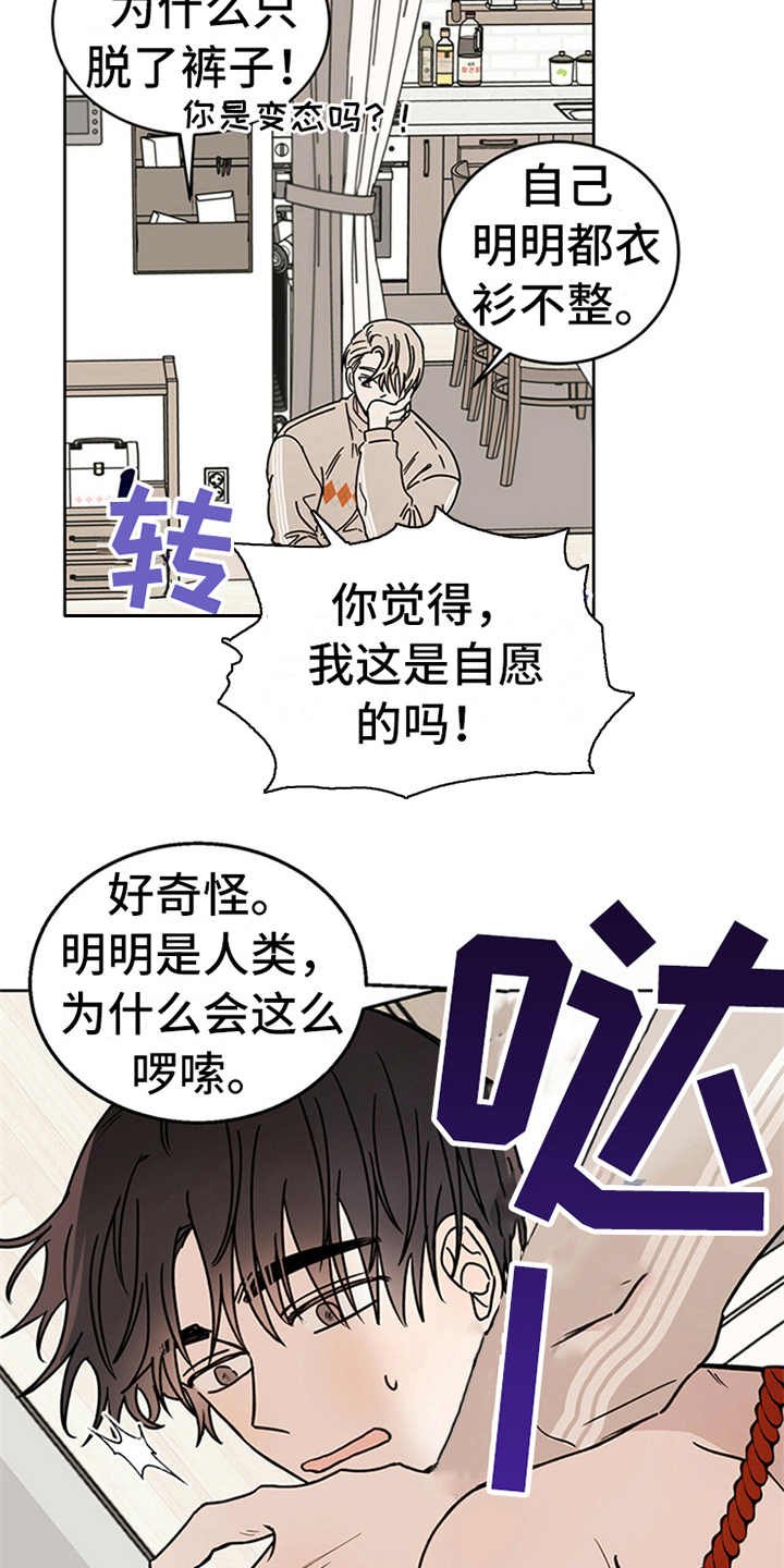第5章：贡献灵魂
