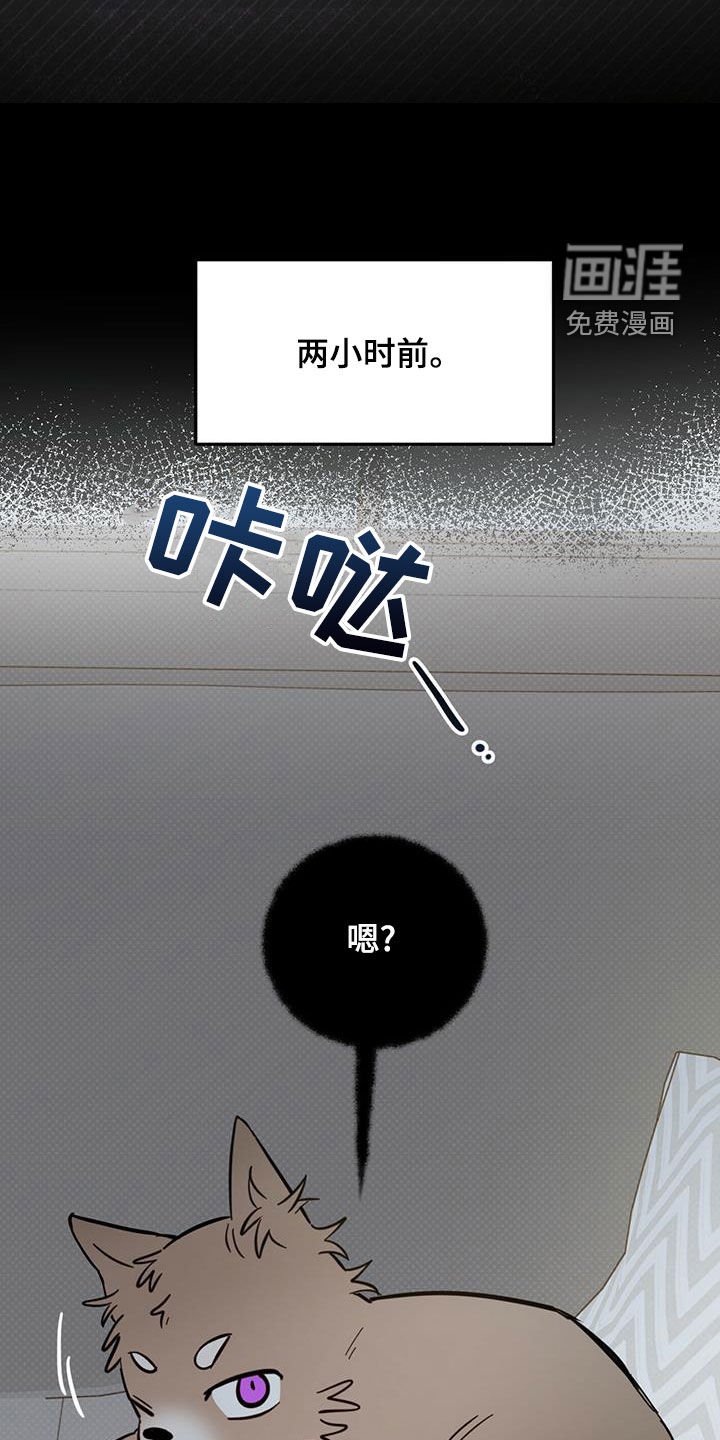 第50章：祭品
