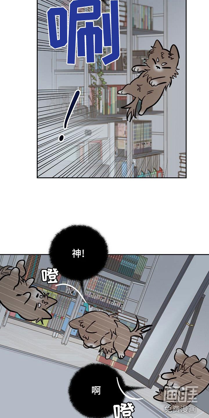 第50章：祭品