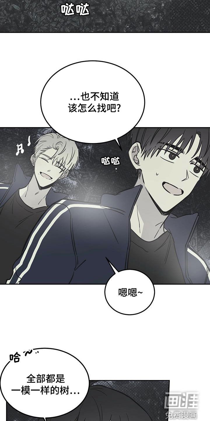 第52章：伪装