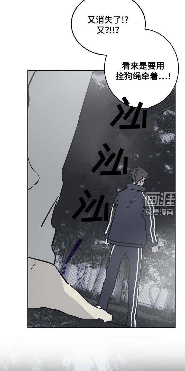 第52章：伪装