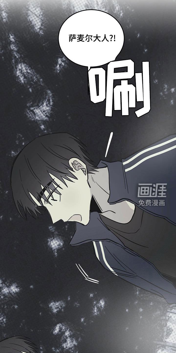 第52章：伪装