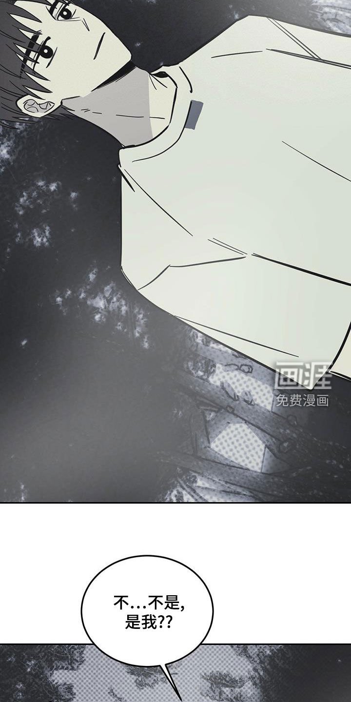 第52章：伪装