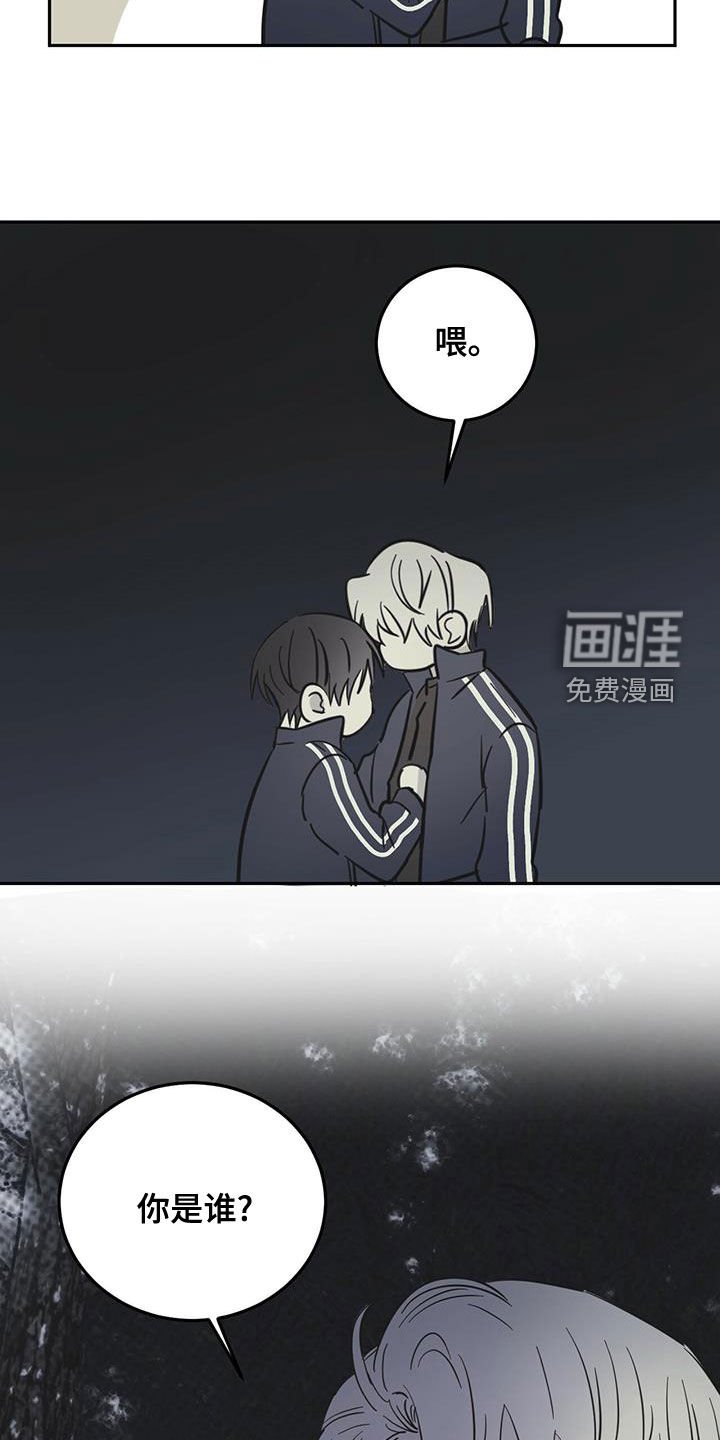 第52章：伪装