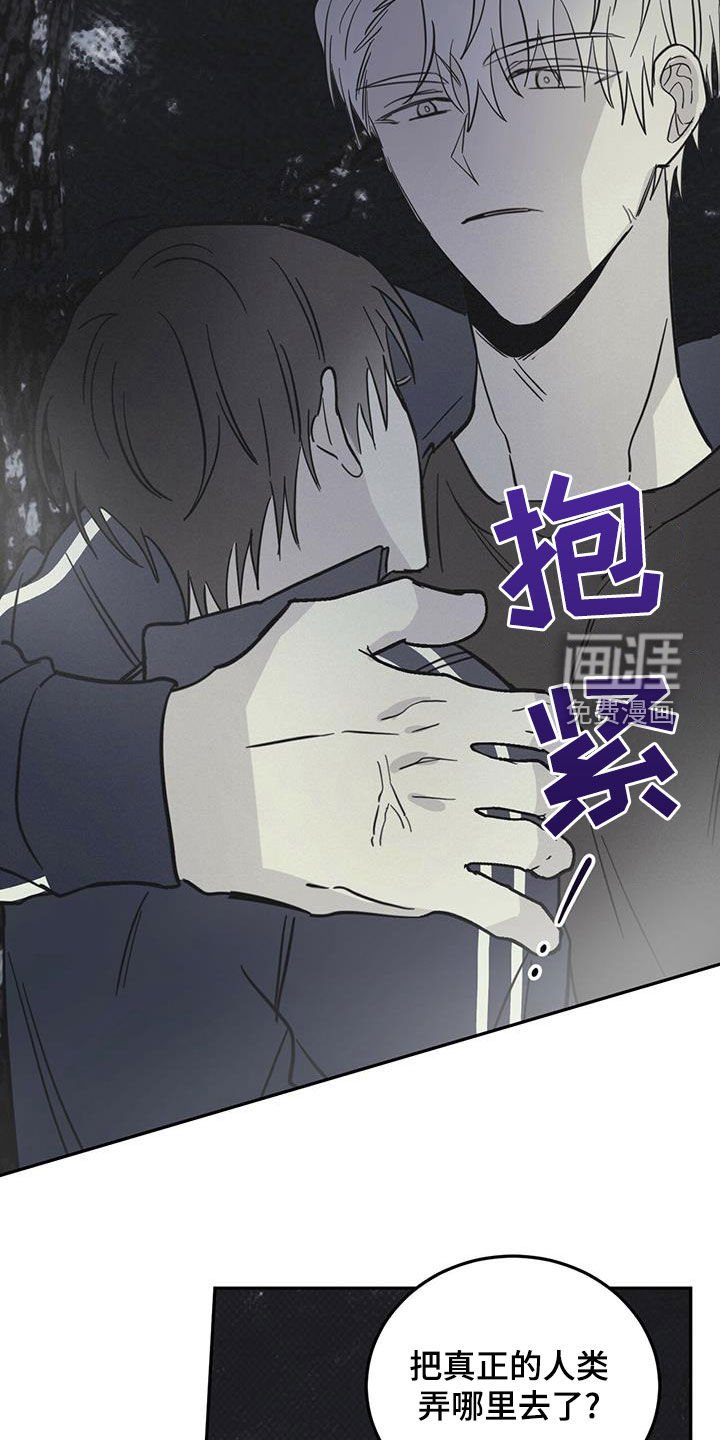 第52章：伪装