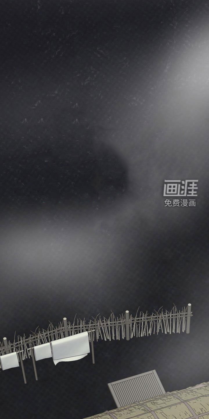 第52章：伪装