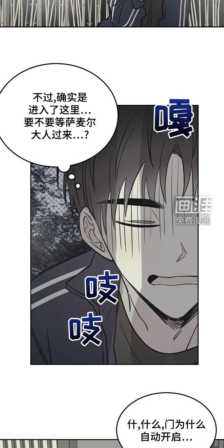 第52章：伪装