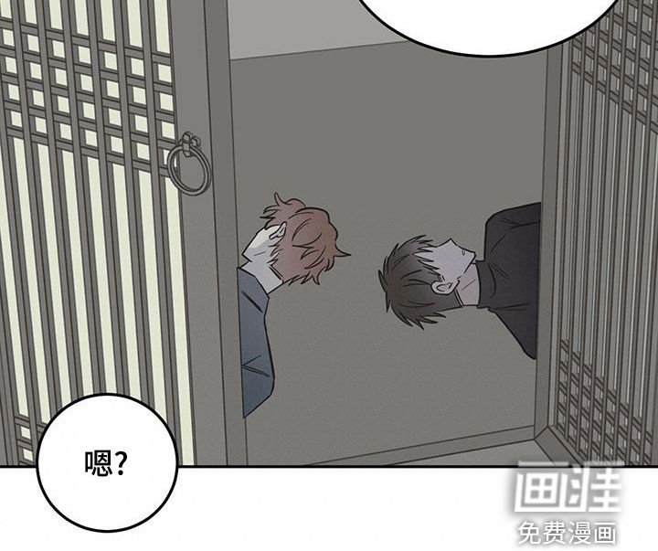 第52章：伪装