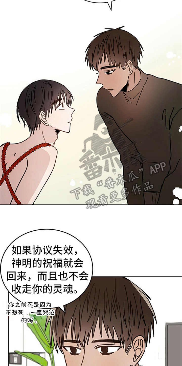 第6章：神的祝福