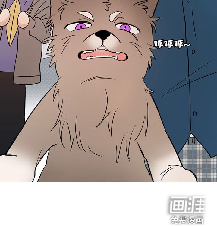 第64章：【第二季】醒来