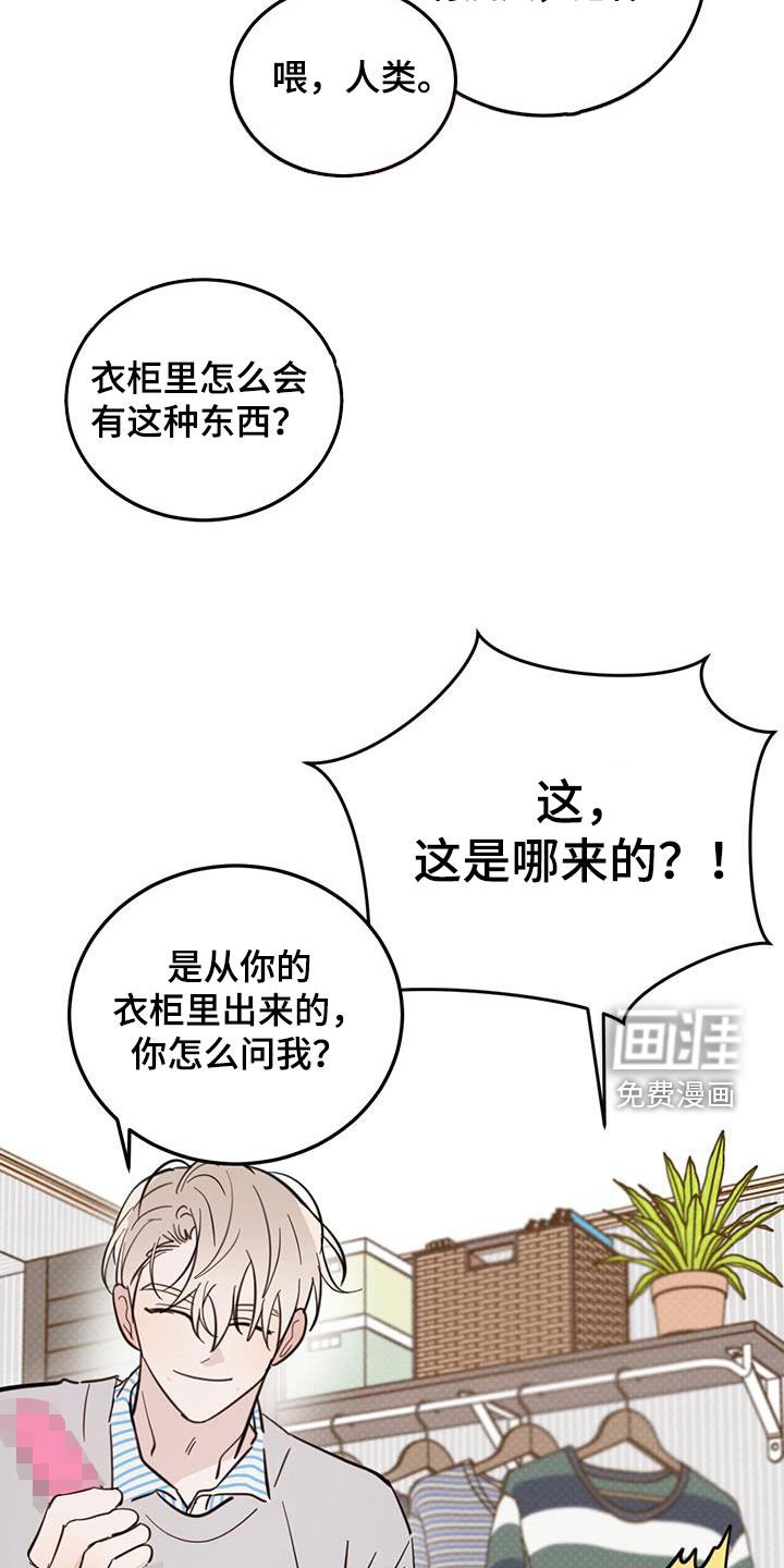 第74章：【第二季】衣柜里的东西