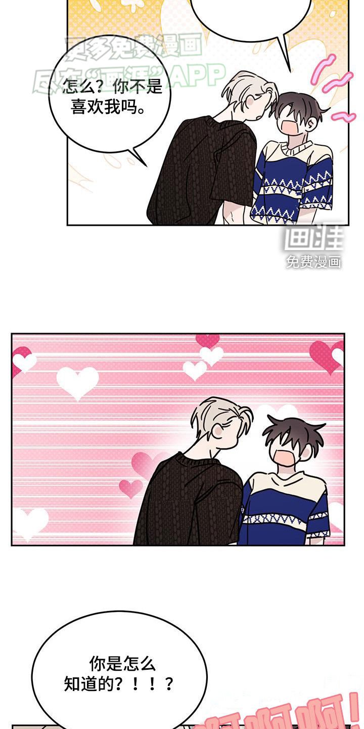 第85章：【第二季】的确喜欢