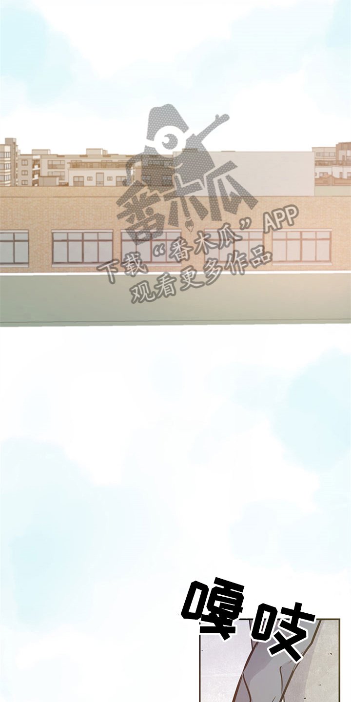 第37章：矛盾