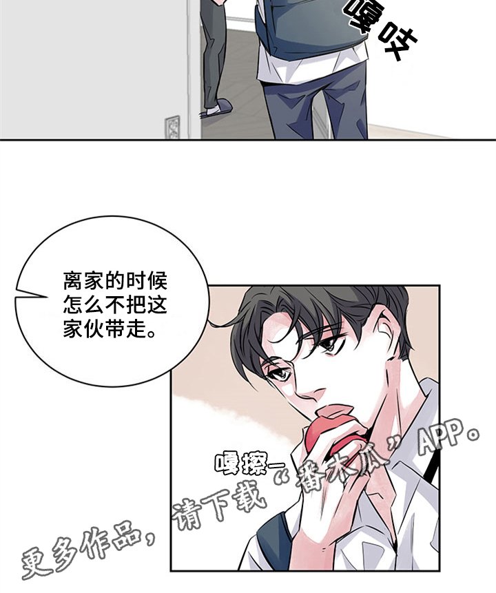 第37章：矛盾