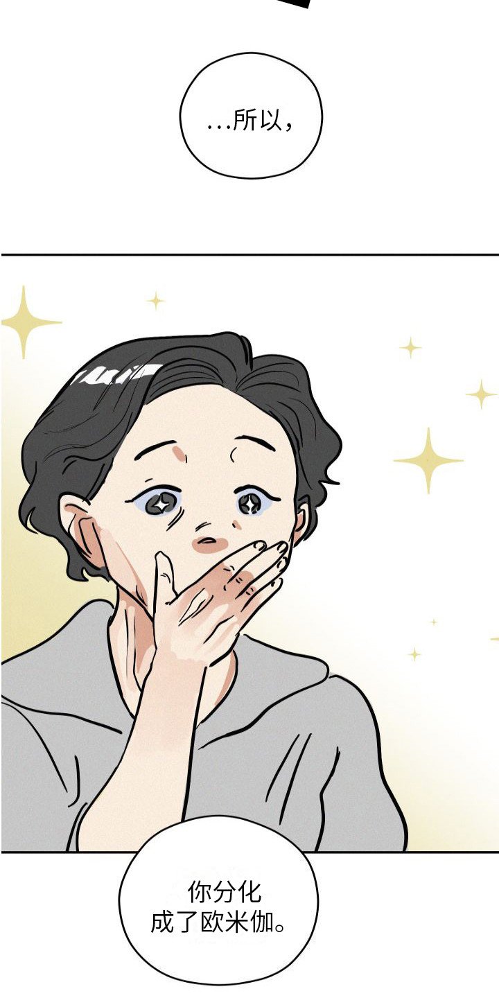 第1章：分化欧米伽