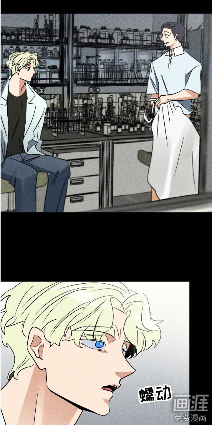 第13章：陪伴