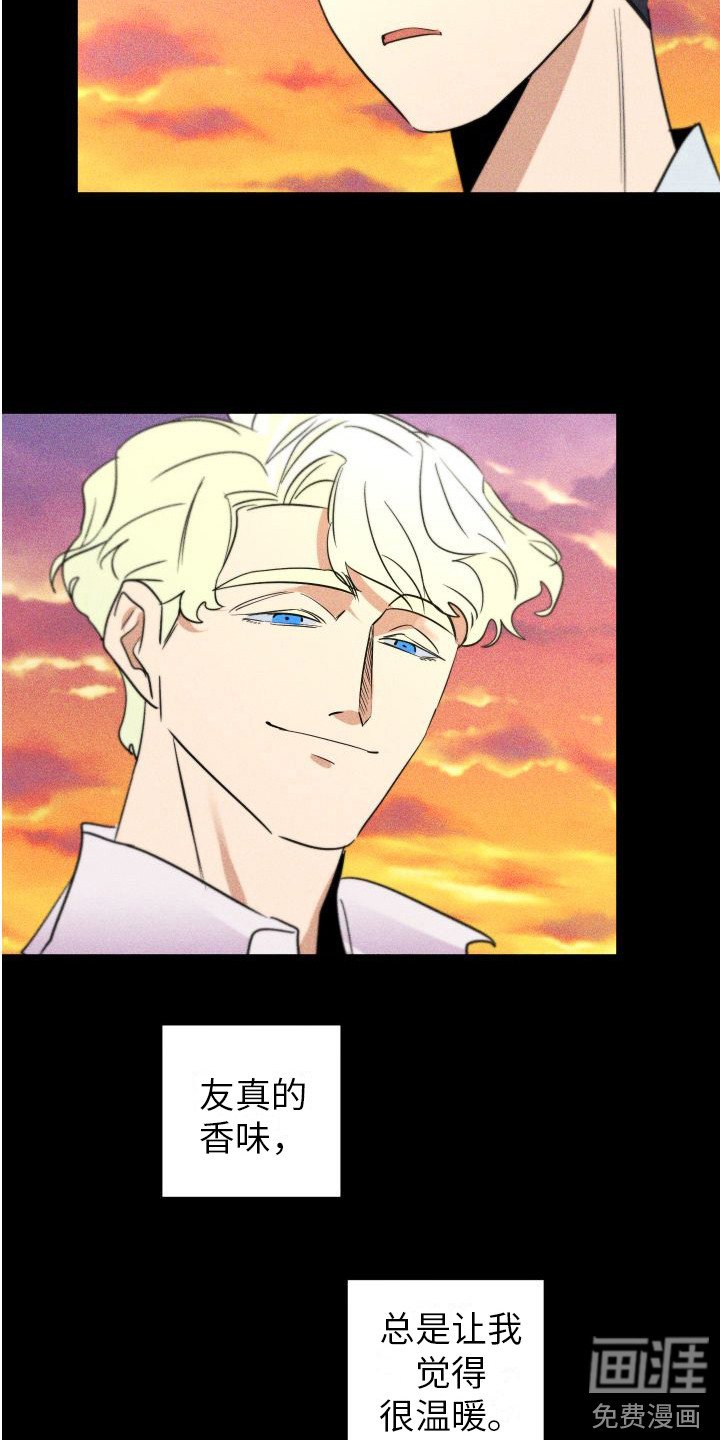 第13章：陪伴