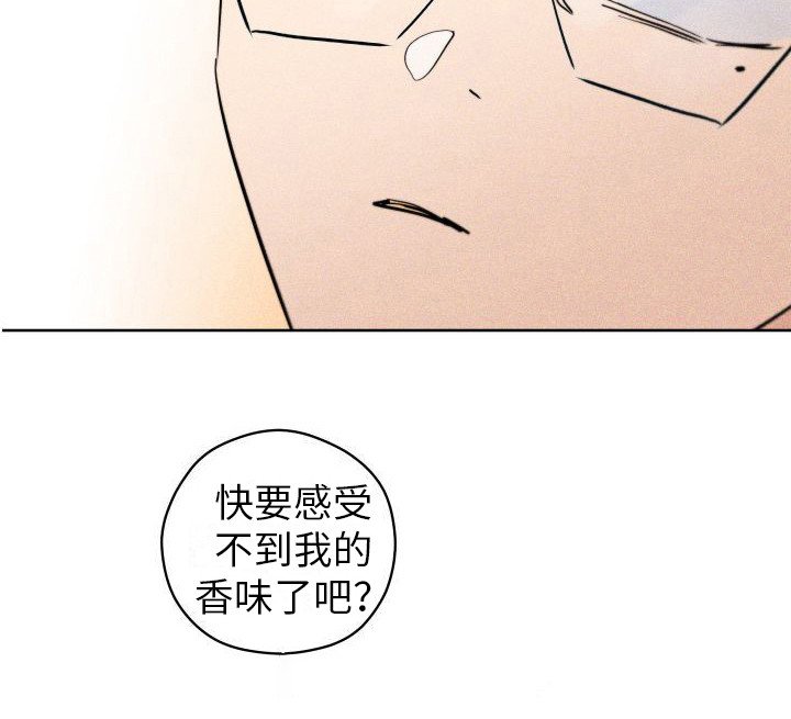 第15章：香味变淡 