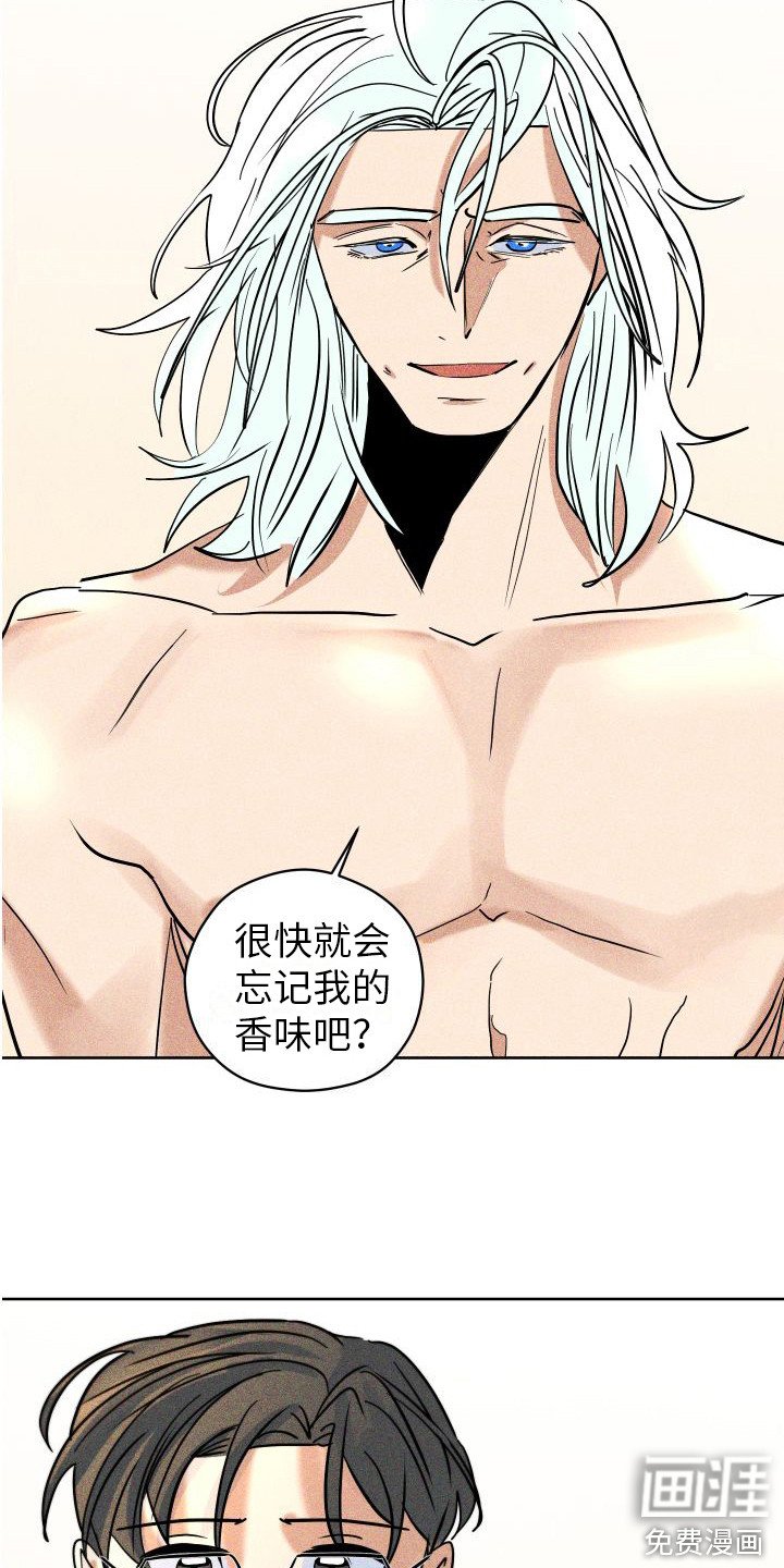 第15章：香味变淡 