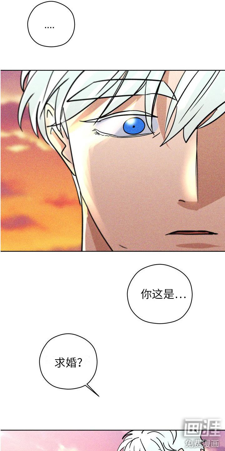 第19章：求婚（完结）
