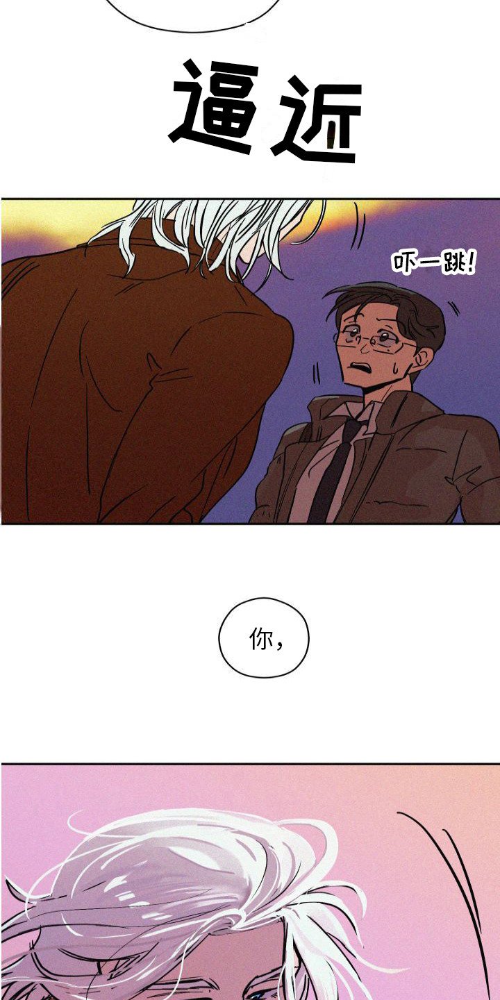 第3章：信息素