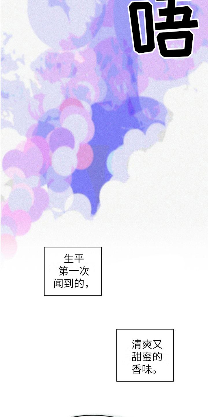 第3章：信息素