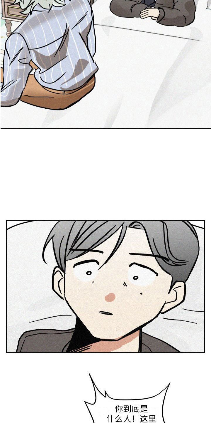 第3章：信息素