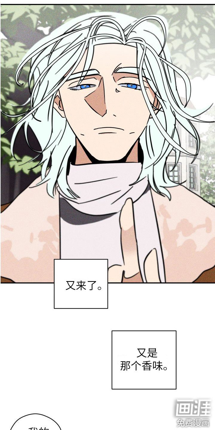 第5章：越来越晕