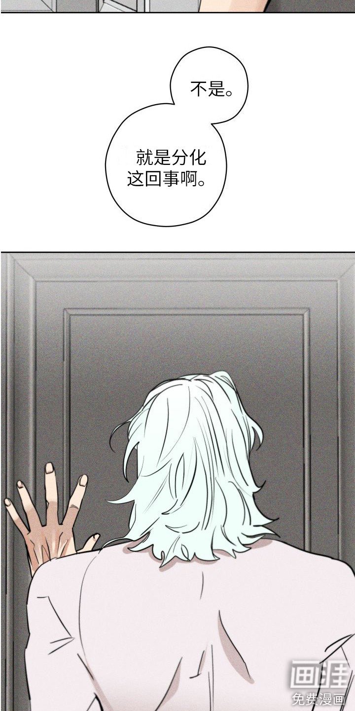 第7章：香水诅咒