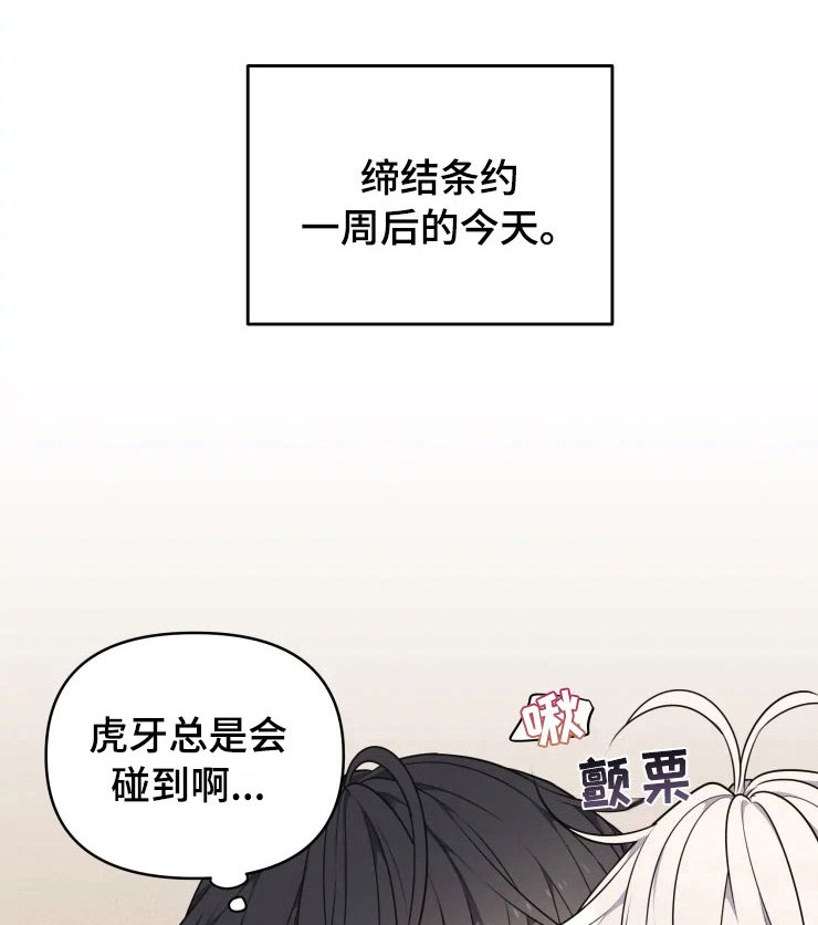 第11章：三个条件