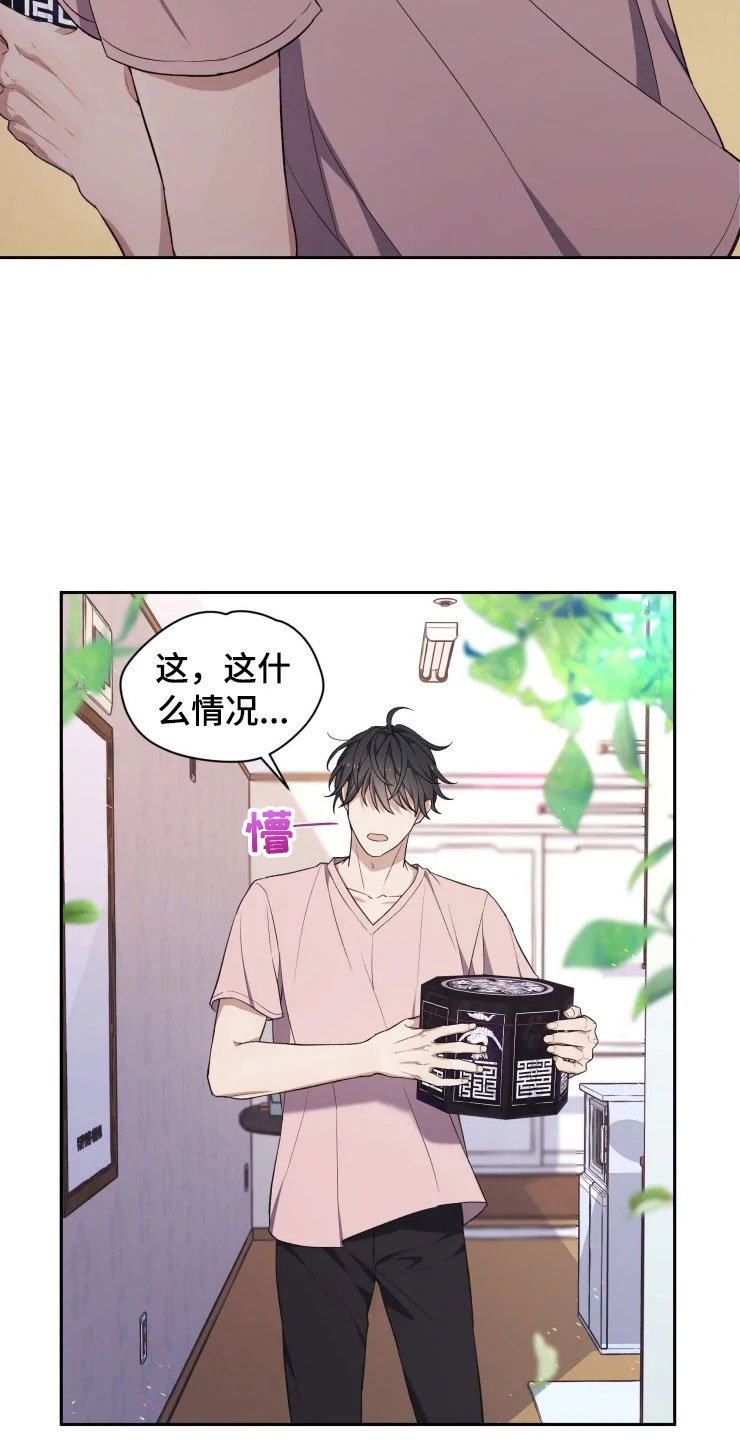 第13章：妈妈的遗物