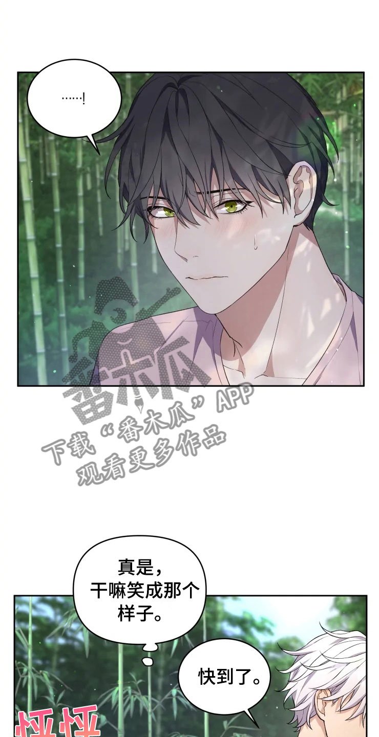 第14章：龙神商会
