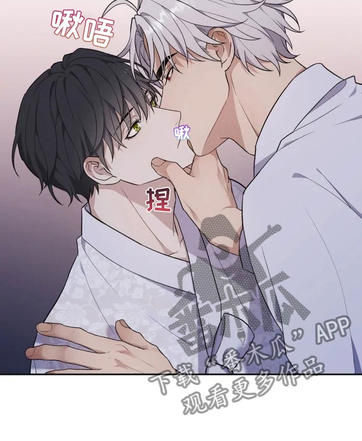 第18章：初夜之礼