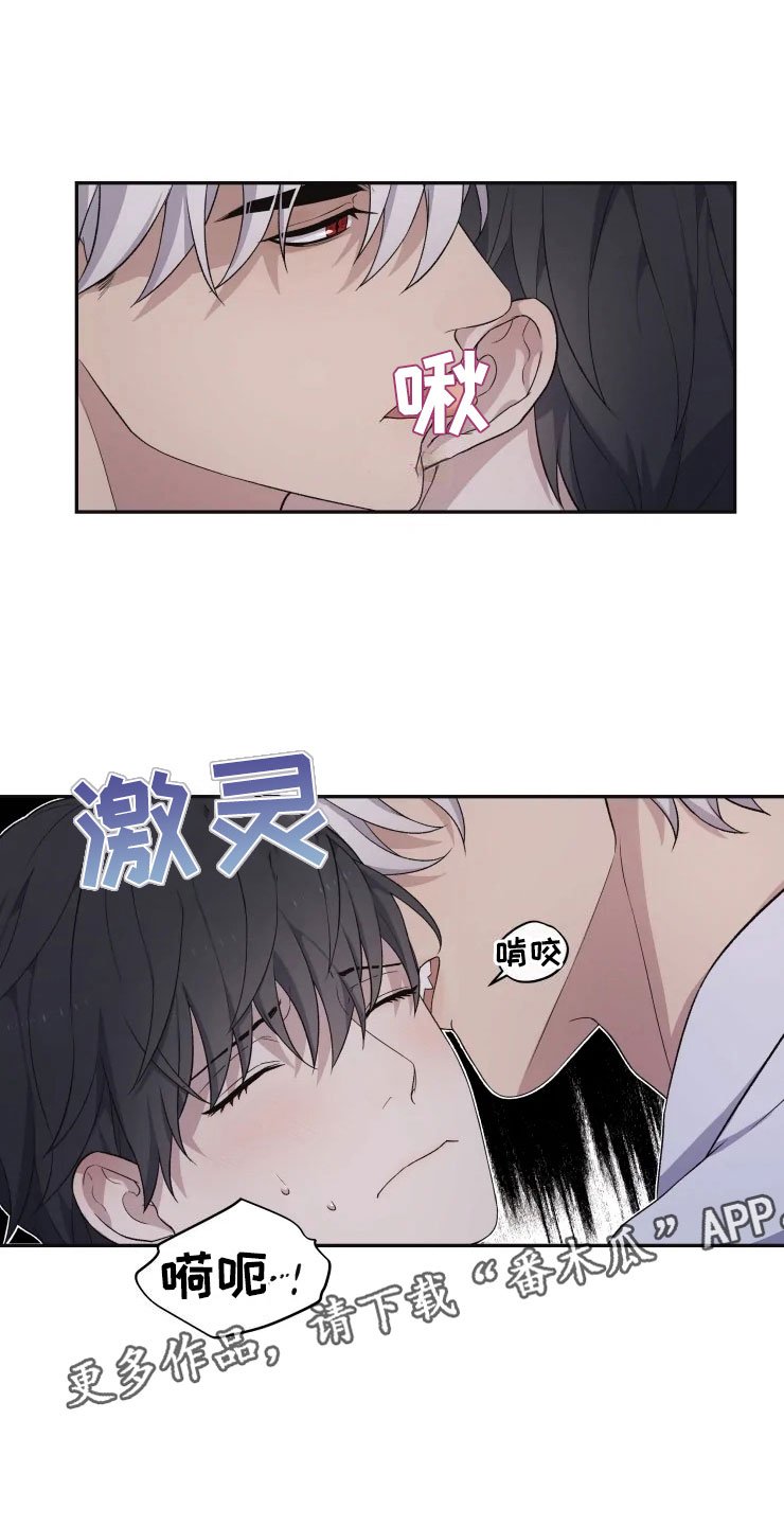 第18章：初夜之礼
