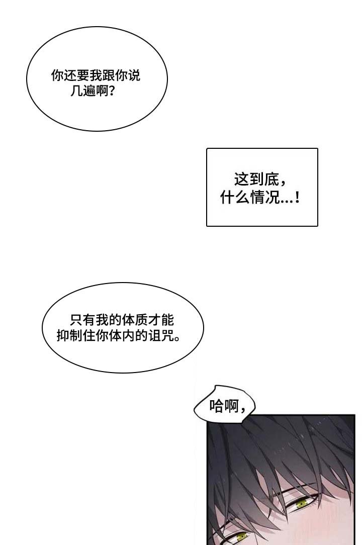 第19章：抑制诅咒