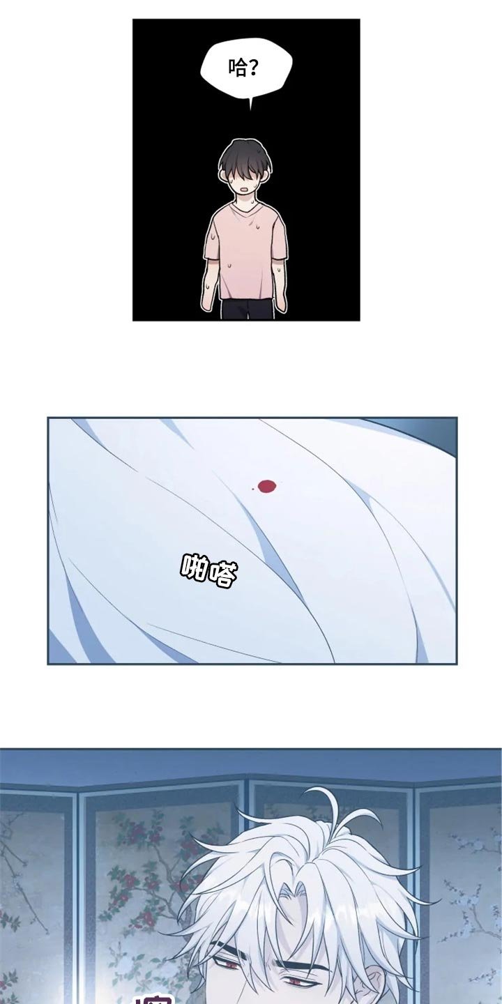第23章：还魂石的下落