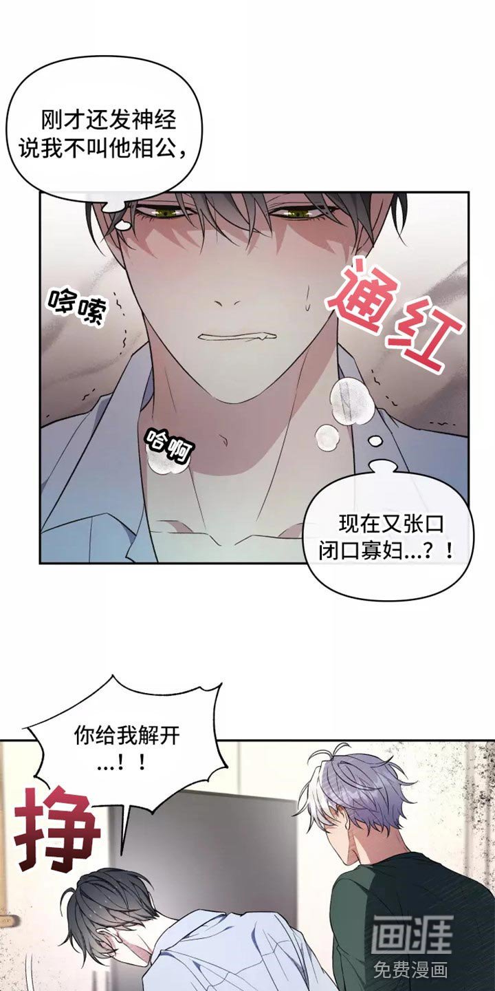 第37章：不是梦