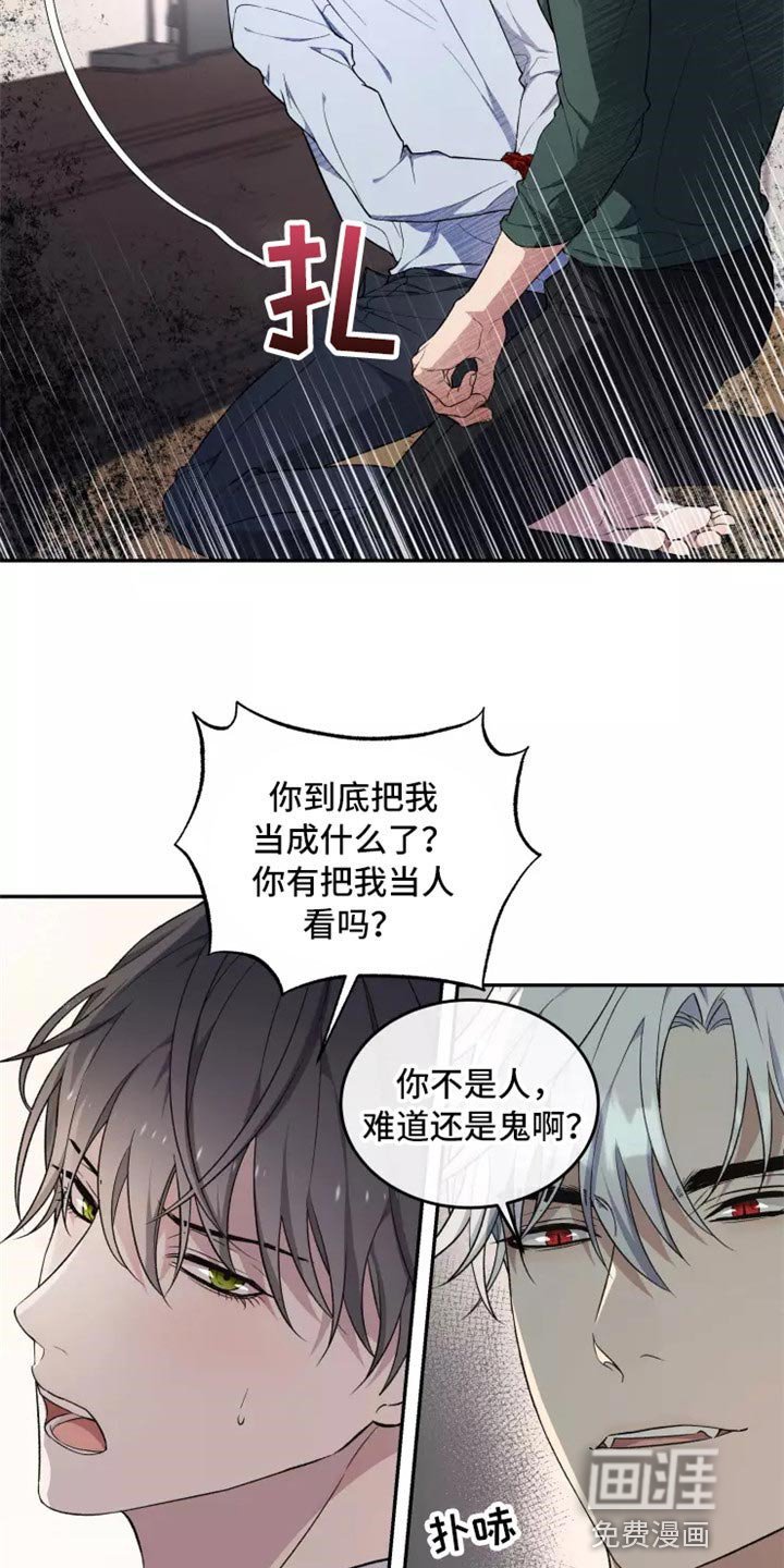 第37章：不是梦