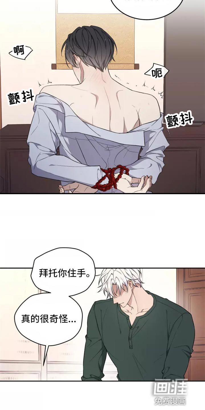 第37章：不是梦