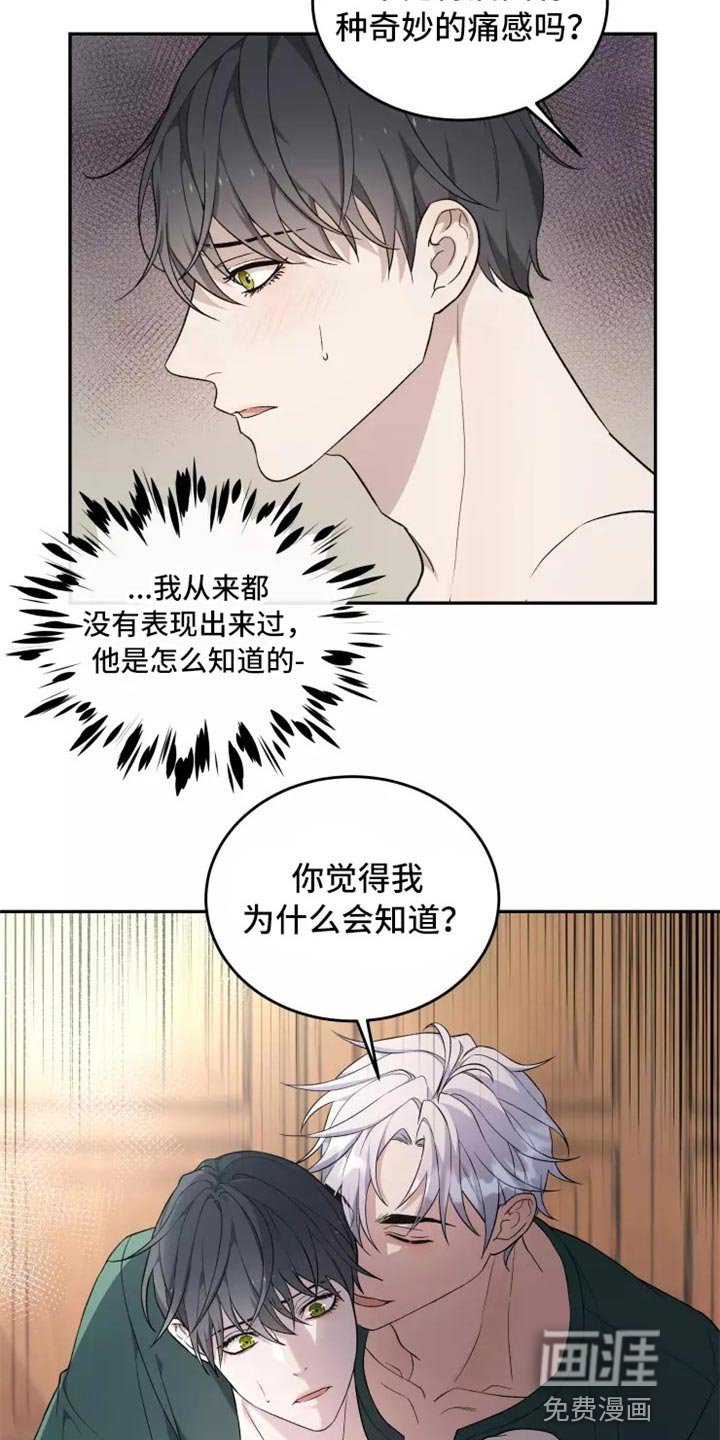第37章：不是梦
