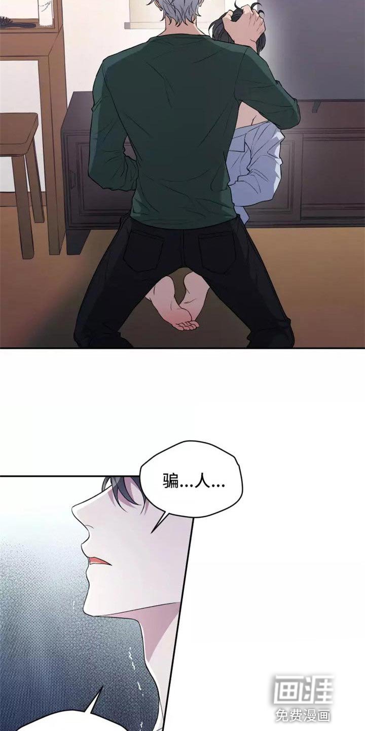 第37章：不是梦