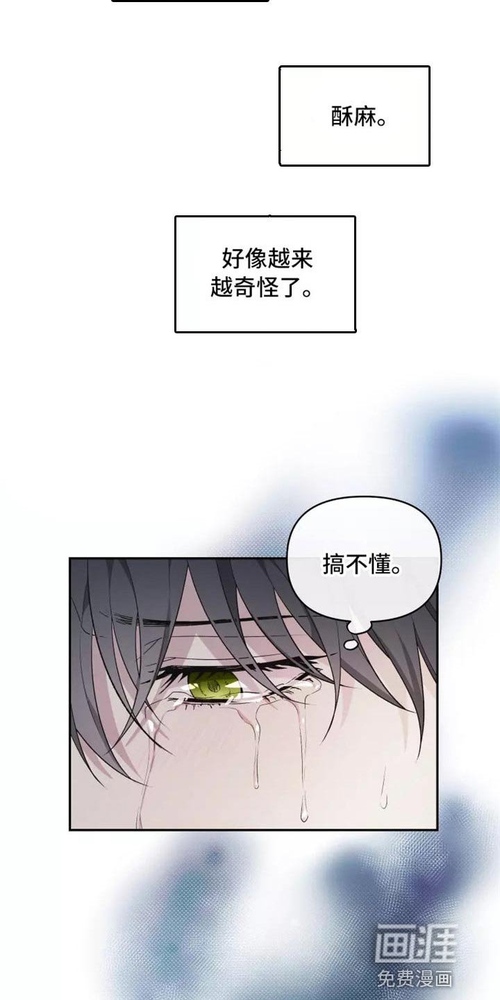 第37章：不是梦