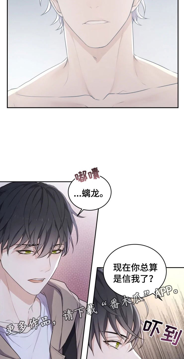 第4章：嗜睡的原因